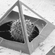 Illustration for article titled Researchers have built microscopic pyramids as cages for growing cells